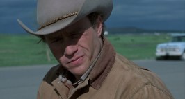 large brokeback mountain blu-ray3