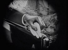 male&femalefigure5maleandfemale