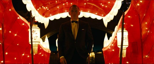 Skyfall (16)