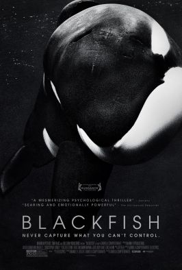 blackfish_Poster