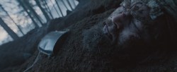 The Revenant 2015 (39)