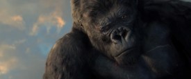 disapproving-kong