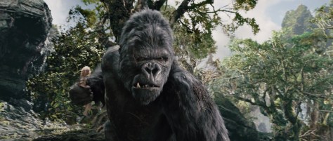 king-kong (16)