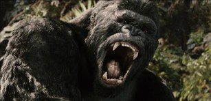 test-blu-ray-king-kong-2005-9b